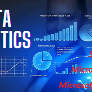 Data Analytics For Data/Business Analysts (0105)